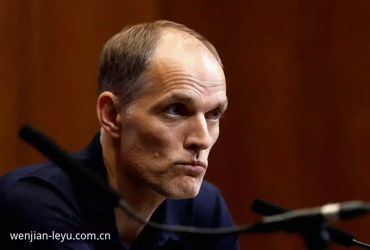 世界杯安保策略调整深度评测：英方警员缩减背后的博弈与体育观赛新生态